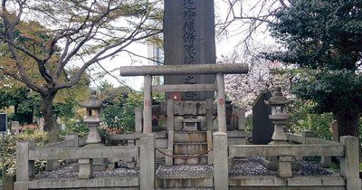 🌸 아오야마 영원 (아오야마 레이엔)